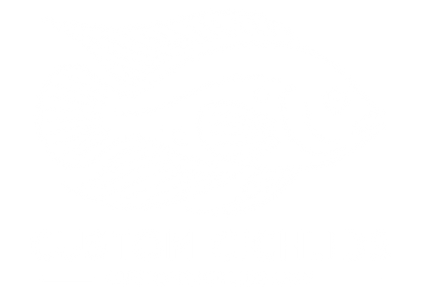 Custom Cichlids